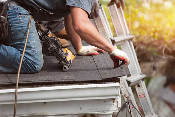 Best New Roof Installation  in Burgin, KY